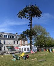 Château des Forges image 14