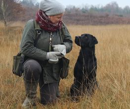 Wald & Hund - Hundetraining Bild 1