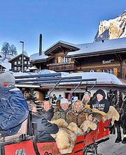 Hotel Steinbock / Pizzeria da Salvi Bild 4