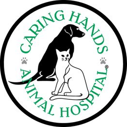 Caring Hands Animal Hospital - Suffolk