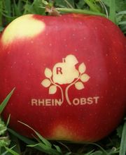 Rheinobst Genossenschaft Bild 1