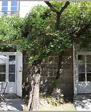 ROUX-MEYER Elodie image 7