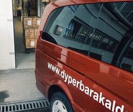 Dyper Barakaldo imagen 8