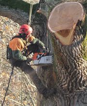 Atelier Champenois Du Paysage image 3