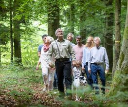 Waldführung im FriedWald