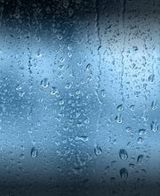 Zampieri Laurent image 1