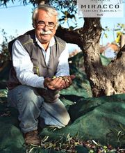 AZIENDA AGRICOLA MIRACCO ATANASIO FRANCO immagine 3