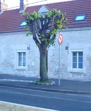Rocquencourt image 11