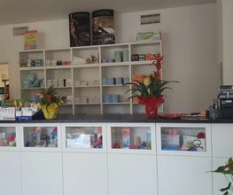 Gallery Cliente