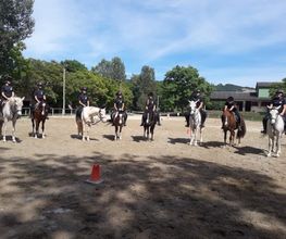 Centre Equestre De La Guérinière image 6