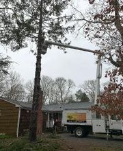 Climbers Tree Care Specialist, Inc. image 20