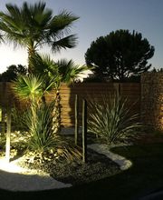 Batimat Distribution image 16