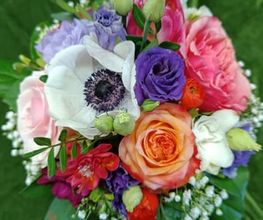 Blumen-Ecke Romana Hoss Bild 8