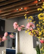 Homburger Hörhaus, Leppert & Weidmann OHG Bild 10