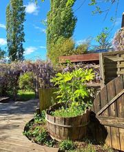 Les Jardins de Koantiz image 11