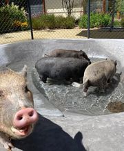 Stiftung Hofmatt Bild 14