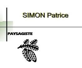 Simon Patrice image 2