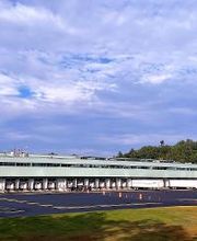 Stripe-It-Seal-It image 13