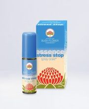 Fiori Amici Ticino Bild 5