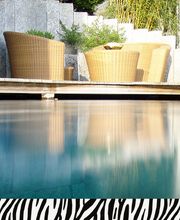 Zebra AG Garten & Pool Bild 5
