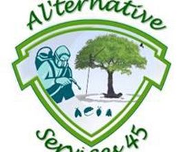 Al'ternative Services 45 image 12