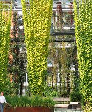 Matter Garten AG Bild 3