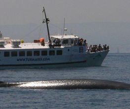 Turmares Tarifa imagen 5