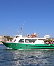 Golfe de Saint-Tropez Développement image 9