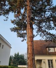 Entreprise Lecoq image 3