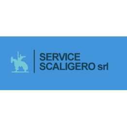 Service Scaligero logo