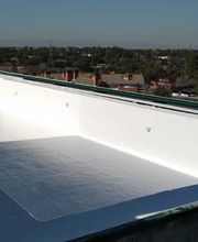 Lallana Pol imagen 1