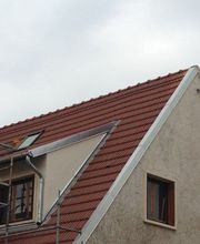 Profit Alexandre image 2