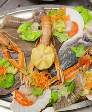 Gallery Professionale