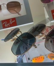 Galloppini F. Bild 3