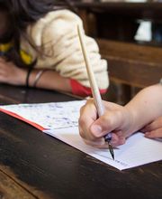 Lance Timothée Photographies image 3