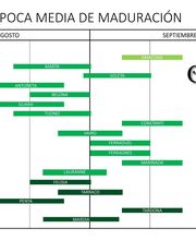 Viveros Gonzalo imagen 2