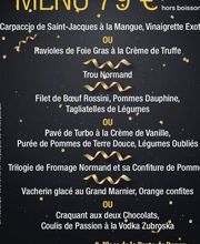 L'Alcyone image 14