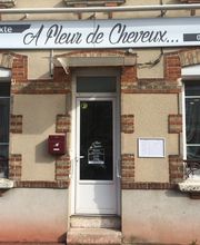 A FLEUR DE CHEVEUX image 2