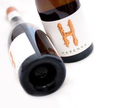bodegas-garciarevalo-harenna-03.jpg