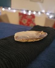 Coquelicot Détente image 3