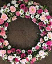 Blumen Kaiser Bild 5