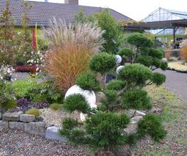 Gartengestaltung Förster Bild 1