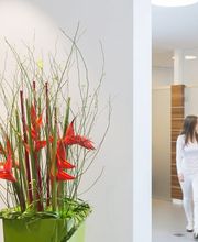 Dermatologie Schermesser Bild 3