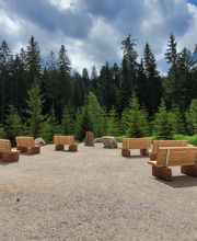 Andachtsplatz im FriedWald Badener Höhe
