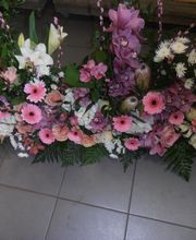 Florilege et harmonie image 10