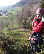 Spycher Baumpflege GmbH Bild 2