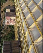 Rosenty Tony image 1