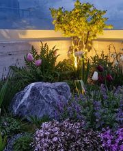 D. Meier Umgebungsarbeiten GmbH Bild 8