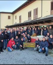 Gallery Professionale