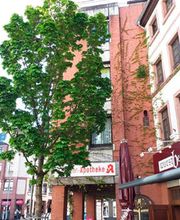 Schwanen-Apotheke Inh. Bernd Mayer Bild 4